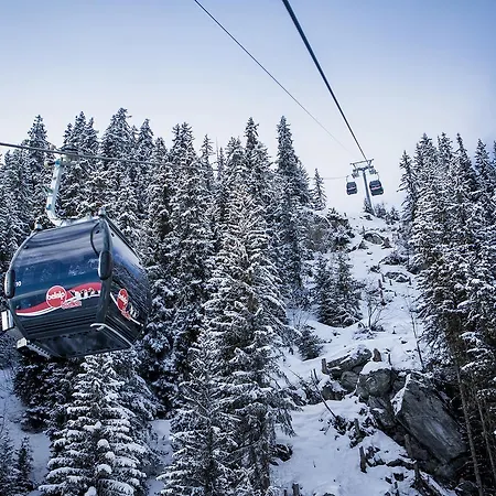 Rehli シャレー ナータース