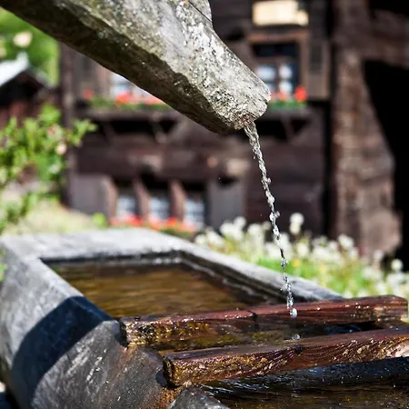 Rehli * ナータース