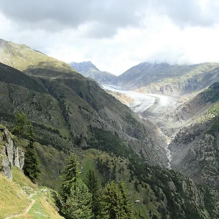 Alpstuga Rehli *